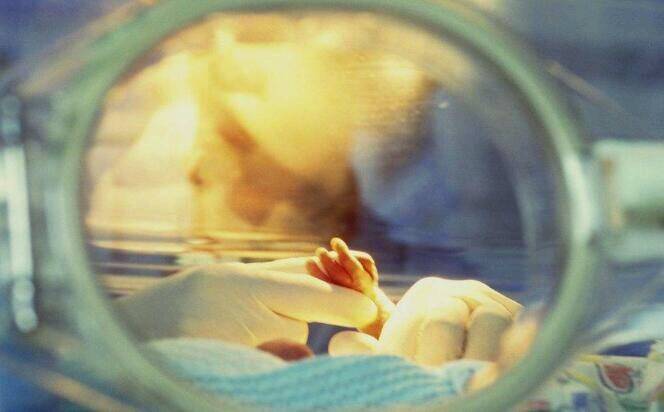 怎么护理早产儿宝宝 2b477a24f56d42f783f07a8ce3b3bcf0.jpeg