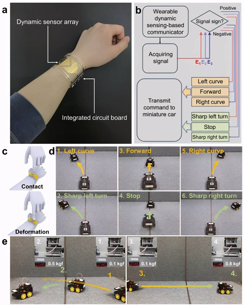 成均馆大学《afm》可切换离子极化的动态机械刺激感知水凝胶_传感器