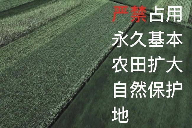 人民时评:坚决制止耕地"非农化"行为_保护