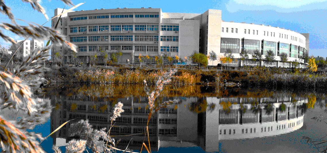 南方科技大学排名_南方科技大学