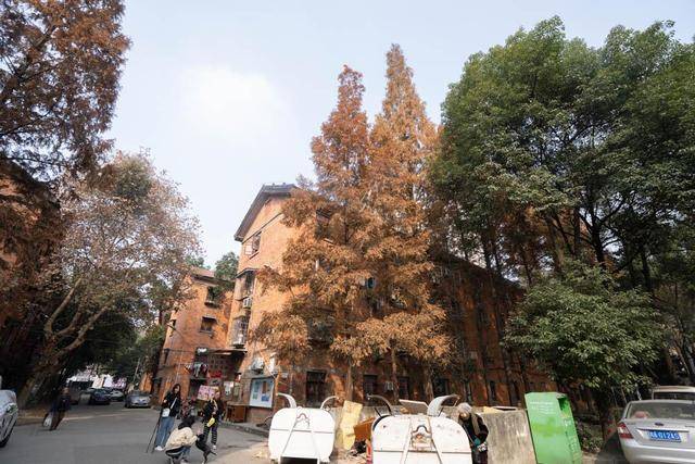 四川成都网红筒子楼摩登城市的光阴故事