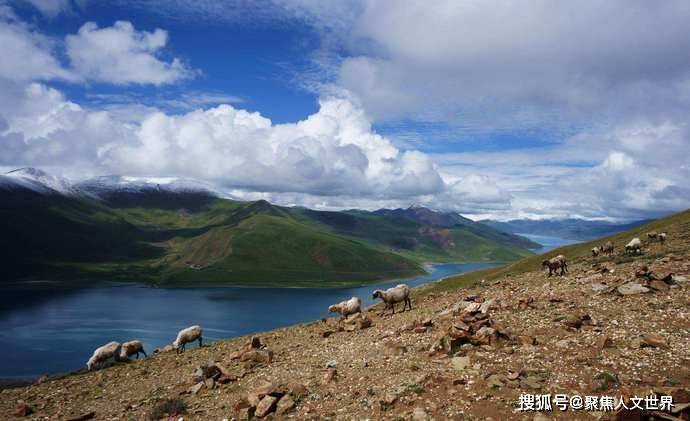西藏羊卓雍措里的鱼，多达8亿公斤，为什么无人捕捞？