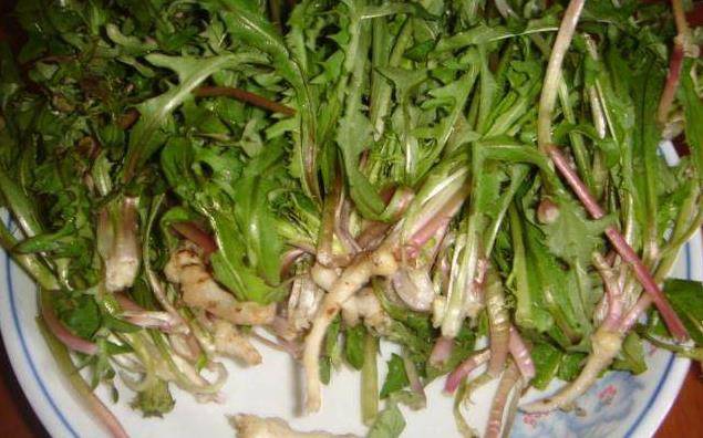 婆婆丁野菜好吃吗 00efa075be9c45119389e91f7bf3e5e1.jpeg