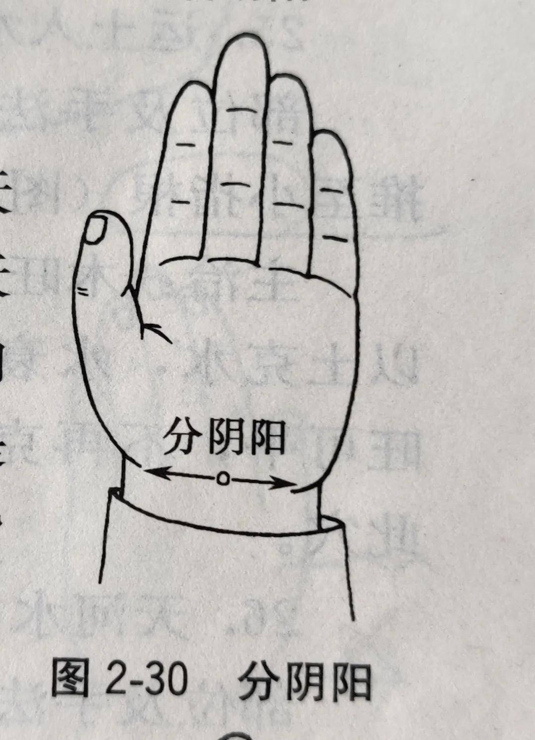 什么叫做阴阳不平衡 4ff6813bc71f4addb823a8474dedabbe.jpeg