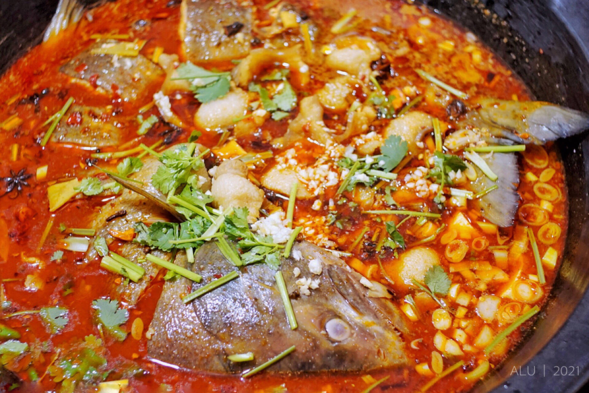 这家铁锅炖鱼北方的妹子说了有东北内味儿