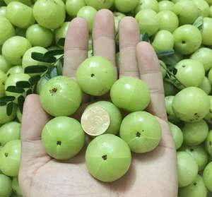 2:准备好一个炖锅,余甘果全部倒入锅中,加上足够的清水,盖上锅盖熬制