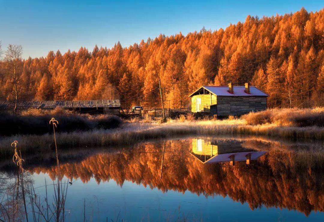 摄影团|呼伦贝尔极致秋色，北欧森林体验！