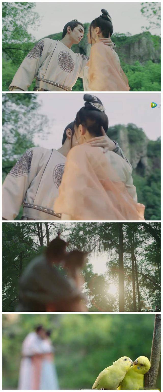 陷进去了!长歌行迪丽热巴吴磊吻戏来袭,结果路边的鹦鹉成了吻替