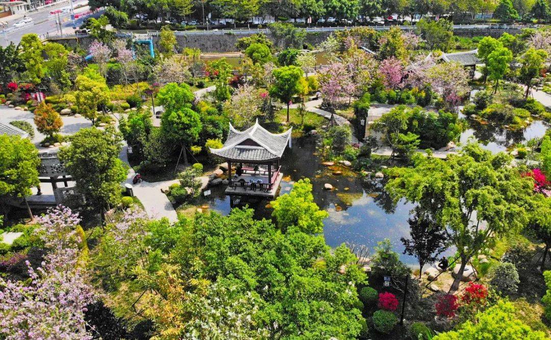 春和景明一起邂逅龍巖公園裡的絢爛