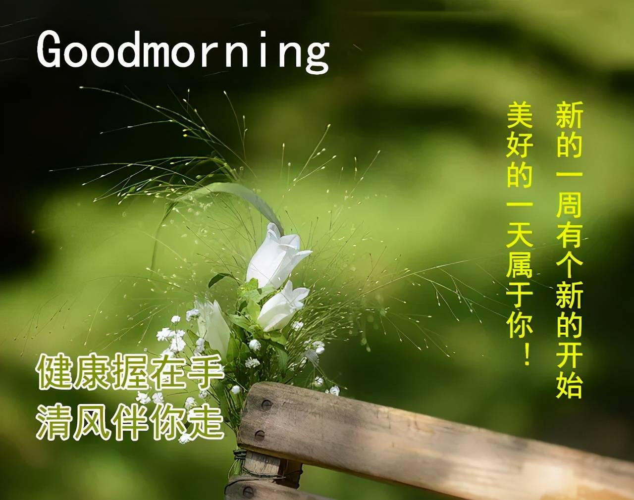 原创特别漂亮早晨好祝福语录句子动图早安励志问候语图片带字