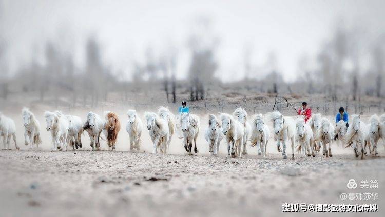 蔓什么成语_成语故事图片(2)