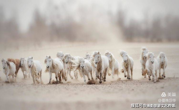 蔓什么成语_成语故事图片(3)