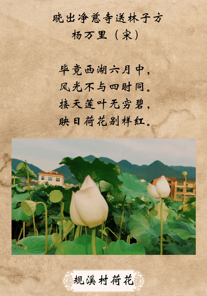 看云和的景色里,到底藏着哪些诗词绝句_瀑布