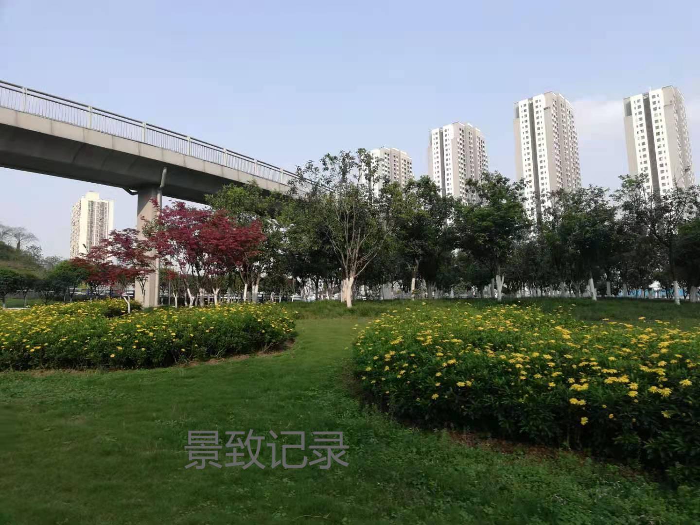 景致记录：公务员省考，打卡重庆市江北区鲤鱼池小学，极具特色