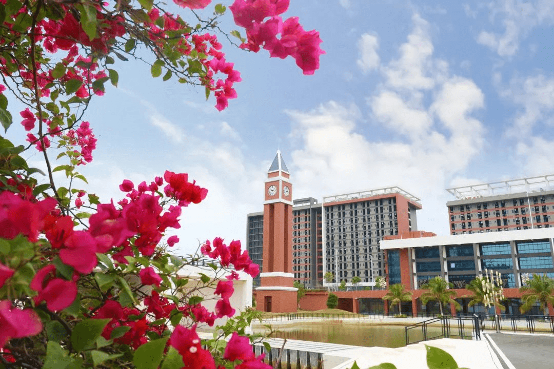 广科大:学考,3 证书pick这个宝藏大学,录取率高!