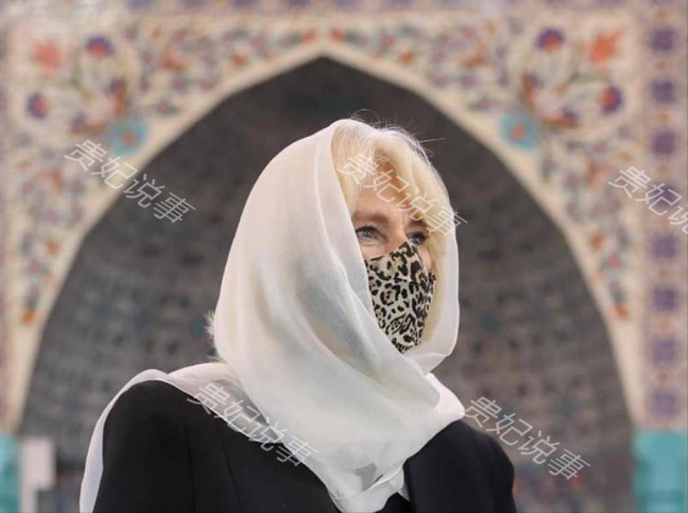 73岁卡米拉越来越美,面纱造型异域风情满满,比戴安娜惊艳多了_手机