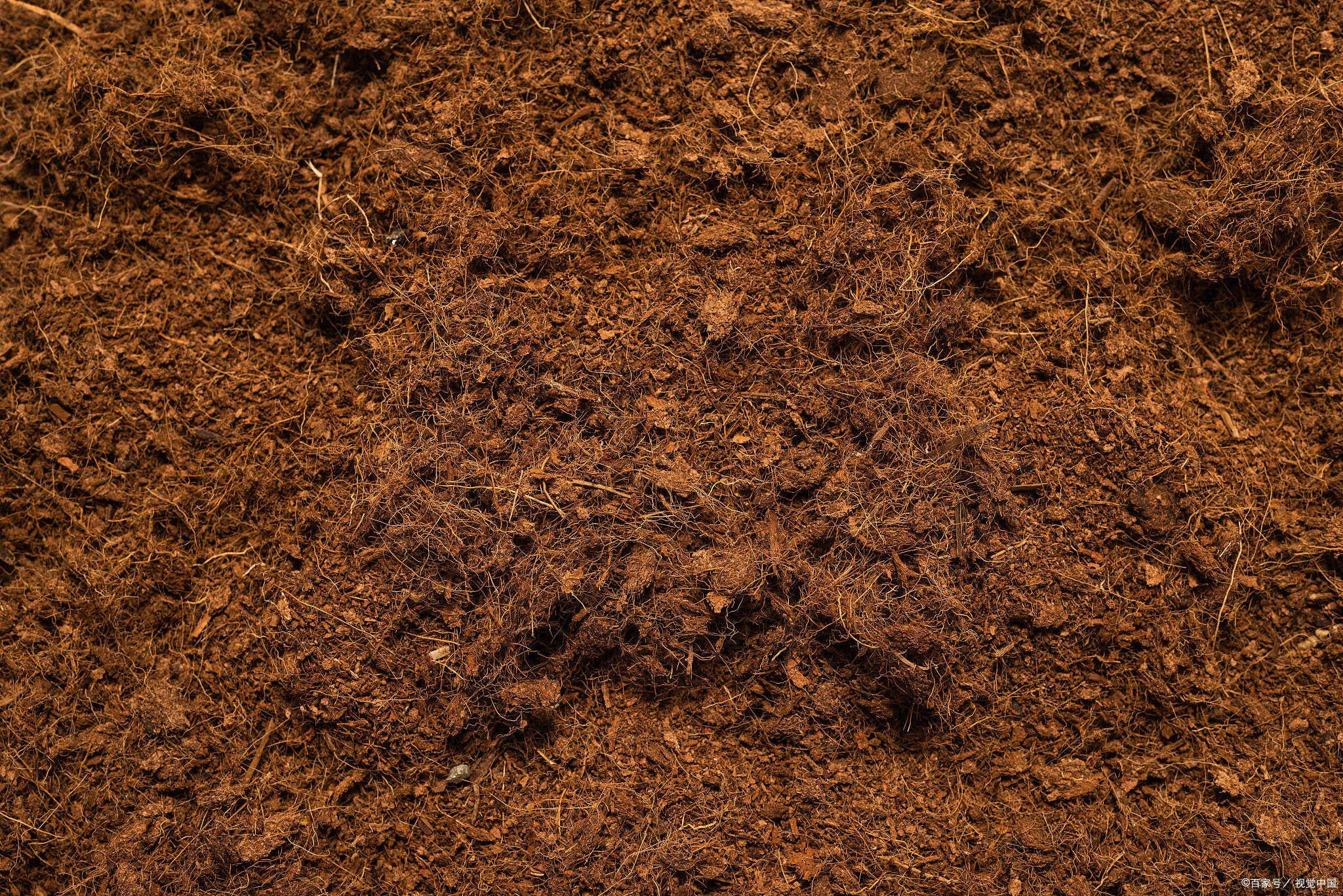 着手,使用种植菌液可以有效改善土壤重茬病的问题,疏松土壤改善土质