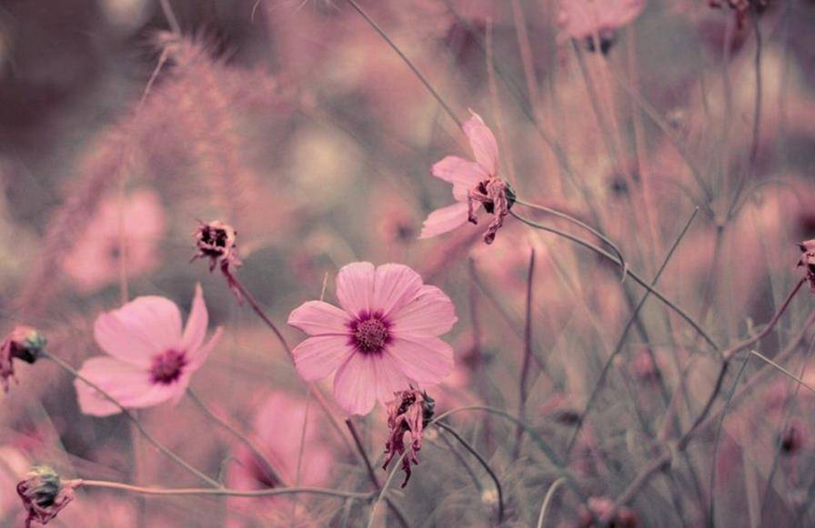 不再去纠缠不再去打扰 9bcd5425acaf4b4b9130d04b69738c3e.jpeg