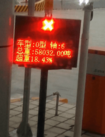 原创
铲屎的,你够了,怎么可以这样