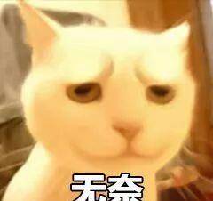 怎么样说话温柔点 fa65cee94e10404fb0259c6694a15154.jpeg