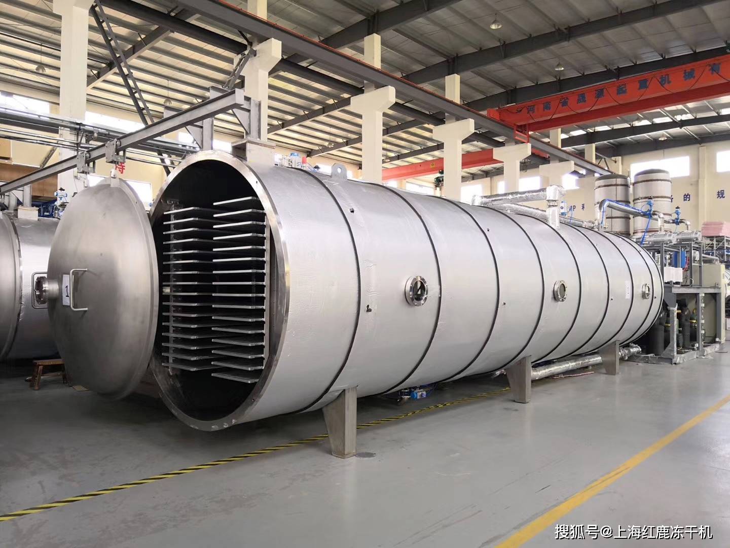 果蔬冻干机设备在蔬菜冻干粉技术加工工艺_进行