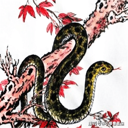 梦到家门口有两只蛇很害怕什么意思啊？解密潜意识中的双重挑战与成长信号