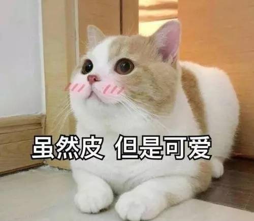 7fa9e5299d6c4058ae8ab101414d2e87.jpeg