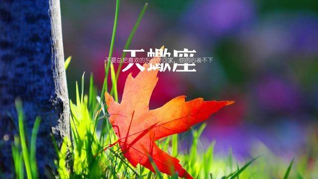 10ed435df8a5414e89be1bcfafec55a5.jpeg
