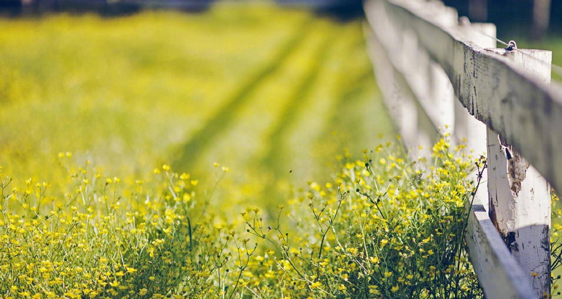 我妻草灯攻立夏受我妻草灯受 自媒体热点