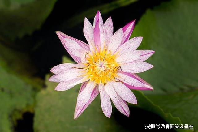 经典至极的人生感悟短语 句句意味深长 读读受益匪浅 一个人