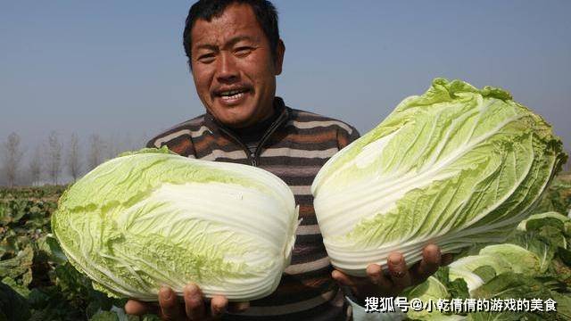 北方白菜整车买南方白菜切开买群里全国各地的网友争论不休