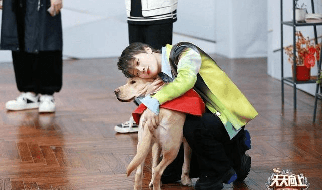 天天向上打工犬专场引爆泪点王一博体验训犬员工作