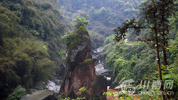 在榕山镇回洞桥村与梧桐山村交接处,沿奇特沟入口青石板路往下,上世纪