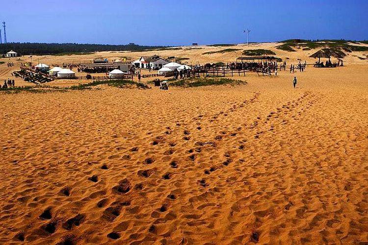 南昌有一处“江南大漠”，面积13万亩，可骑骆驼体验边塞风情