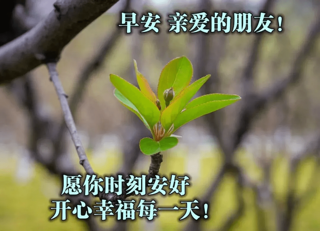 3e841898b1c245b499a48b59ff34fd29.png