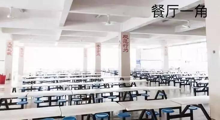 少林武校学费多少_少林武术哪个学校最好_武术少林学校好考吗