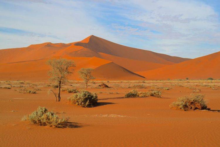 如视觉盛宴般的沙漠，所到之处皆是风景，探索奇妙的非洲之旅