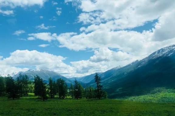 中国版“挪威的森林”！夏天的北疆，美到令人窒息！必须去一趟！