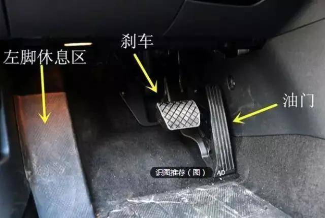 db94d5f1be554c0ab0819fd6c5c41433.jpeg