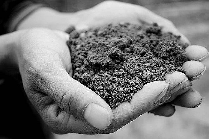 我带走了故乡的一坨泥土