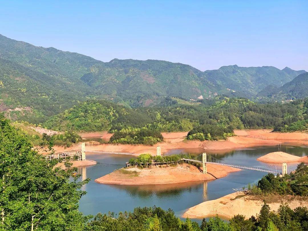 增花添彩爱了爱了云和赤石大片玫瑰花海盛放