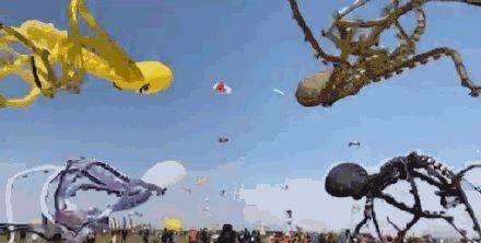 人怎么才能飞上天 b1a93e427cc04ffeb77987593699fc1c.jpeg