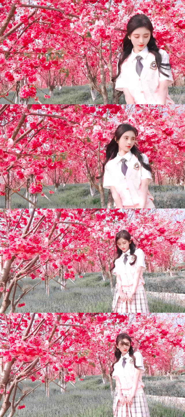 鞠婧祎懒理争议晒春游日记,穿jk如偶像剧女主,什么时候晒自拍?