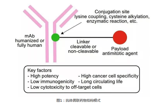 介绍抗体偶联药物linkern3diegopfpn3triegopfpn3tetraegopfp