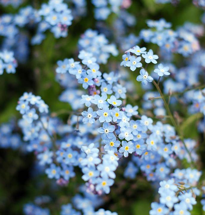 春天 让你白到无暇的2种颜色 戚薇的最爱 鞠婧祎的法宝 女生