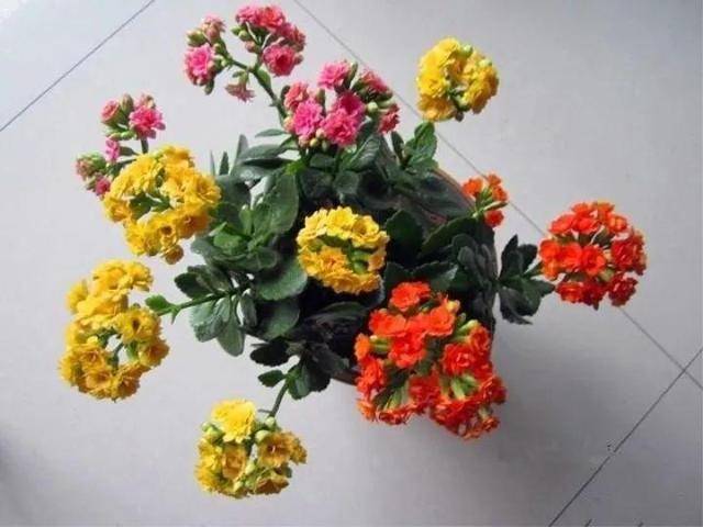 b3a4bf5226bc400f9eccc1ac79fd3d87.jpeg