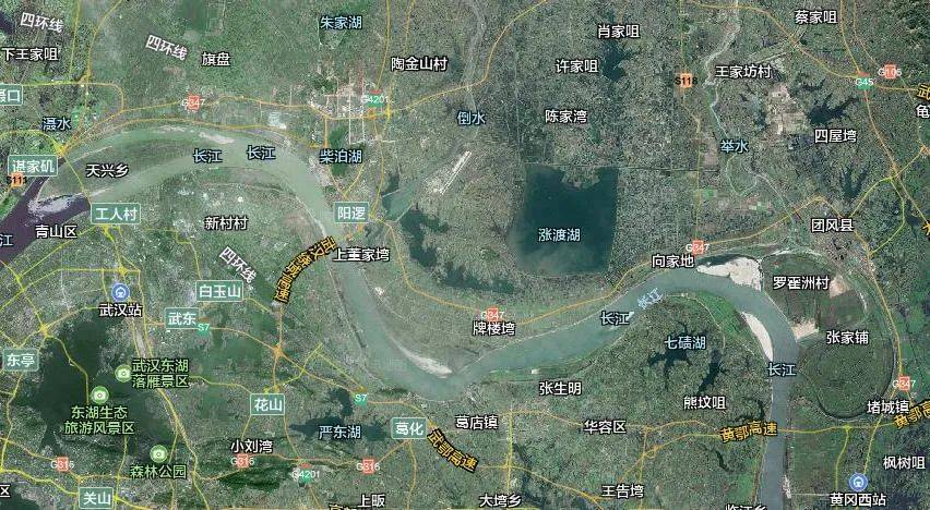 杏彩体育登录注册涨渡湖畔 猕花烂漫！走近3500亩武汉新洲三