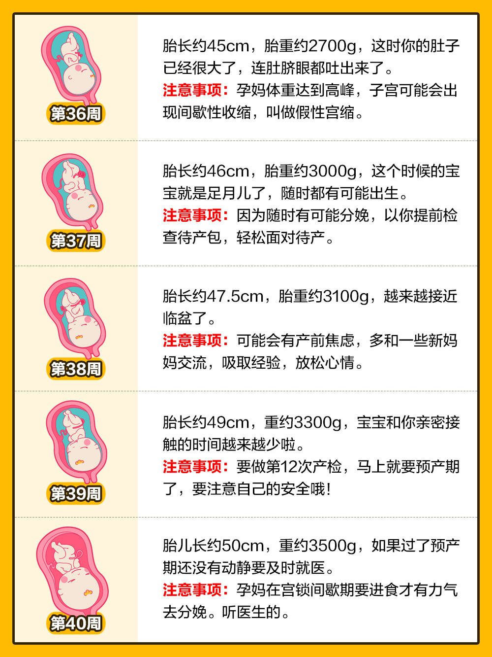 胎儿发育全过程变化和b超单解读!