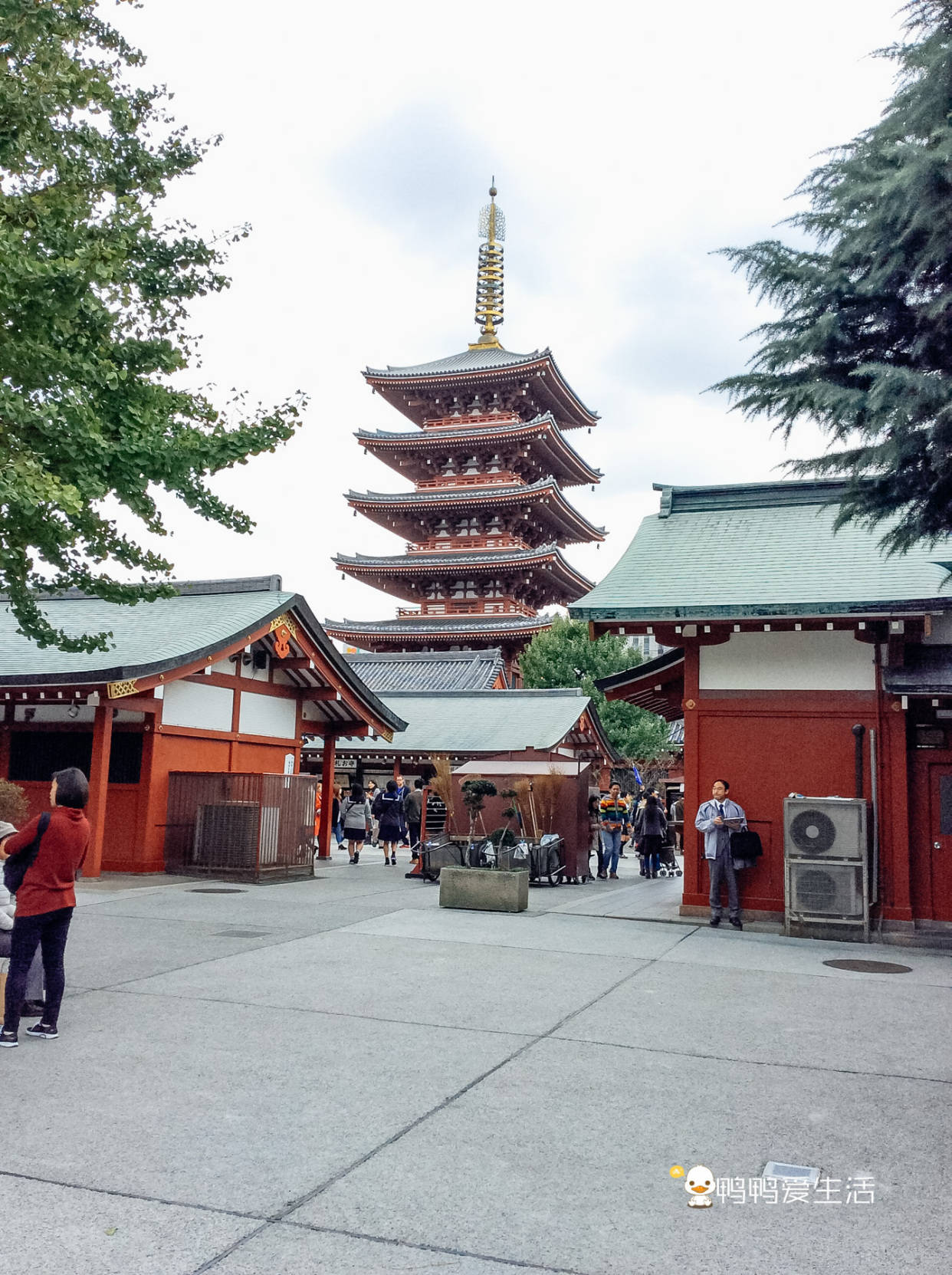 原创67日本东京最古老的寺庙一年到头节庆众多以祈福灵验出名
