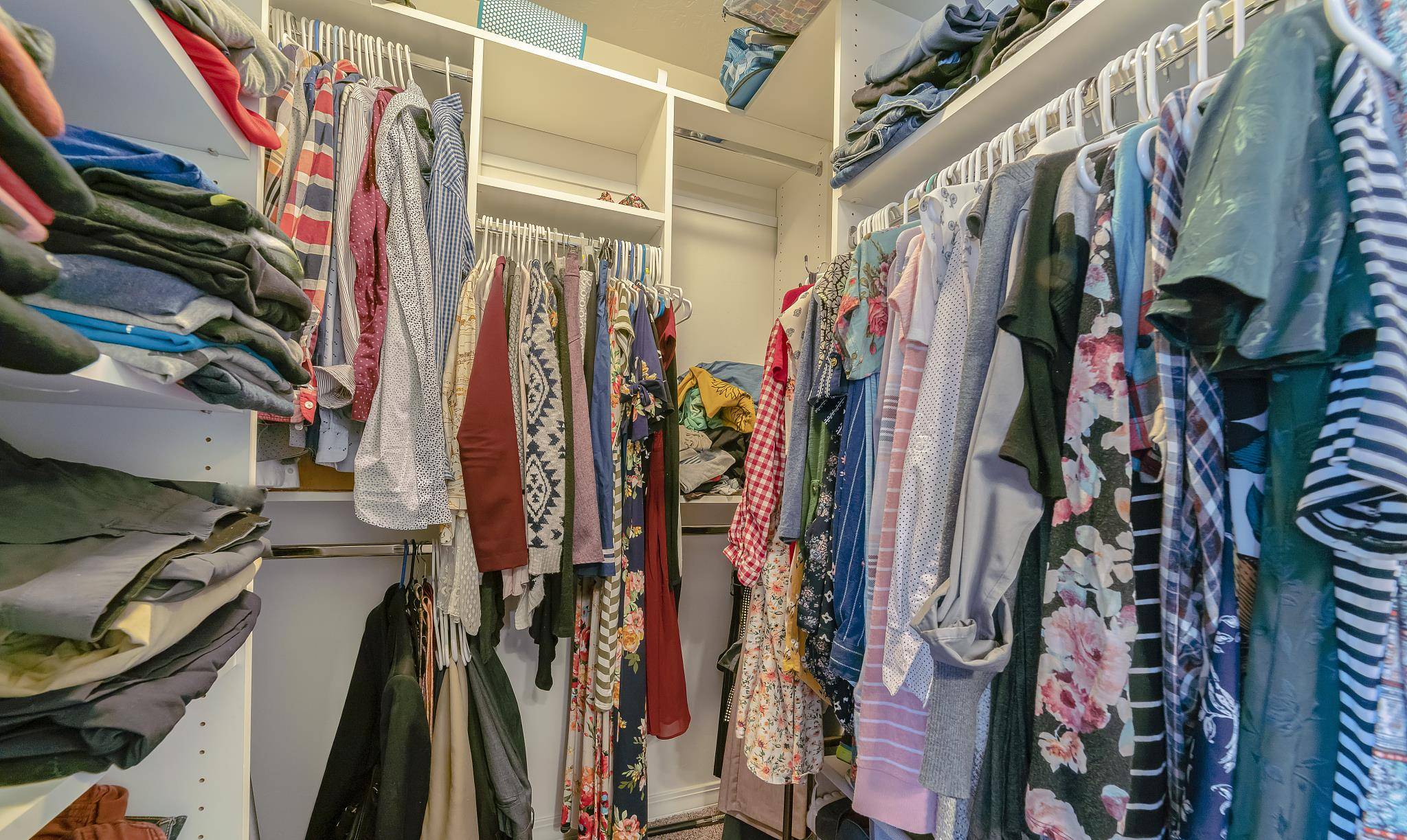 今天打开衣柜衣服全小了我下了三个决心